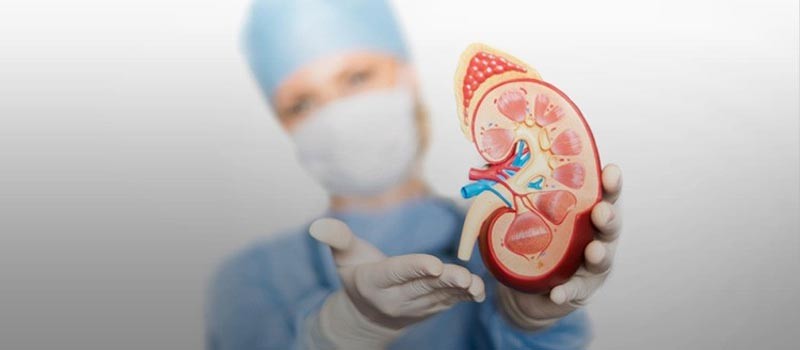 B.Sc. Dialysis Technology